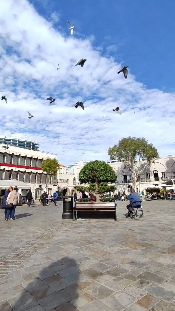 Gibraltar 🇬🇮 - Walking Tour