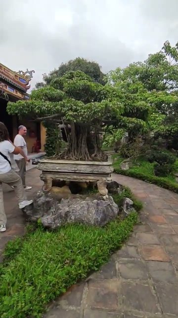 Hue, Vietnam 🇻🇳 - Historic Citadel (2/3)